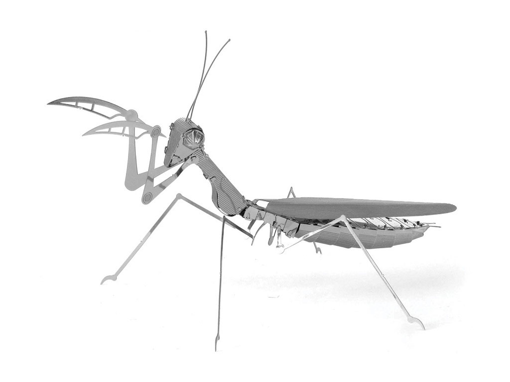 3D激光切割不銹鋼樣品